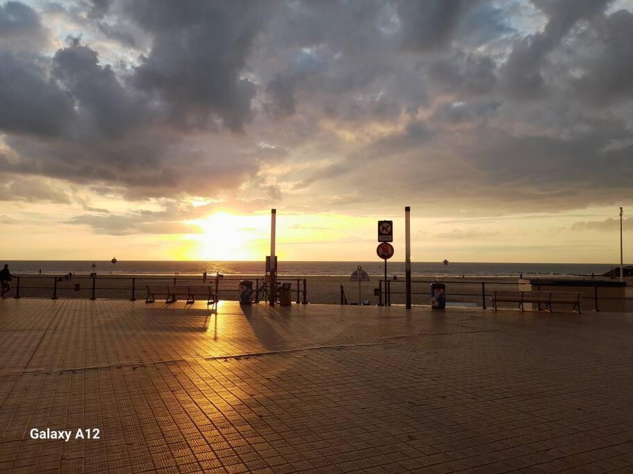 Kursaal Met Zeezicht Ostende